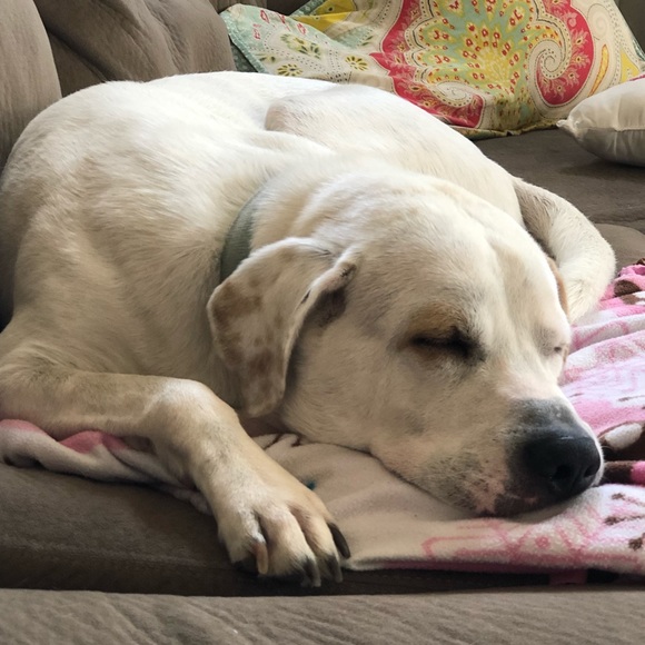 Meet your Posher, Melissa - Picture 4 of 4